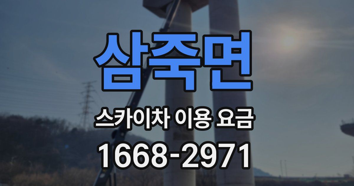 삼죽면 스카이차 이용 요금