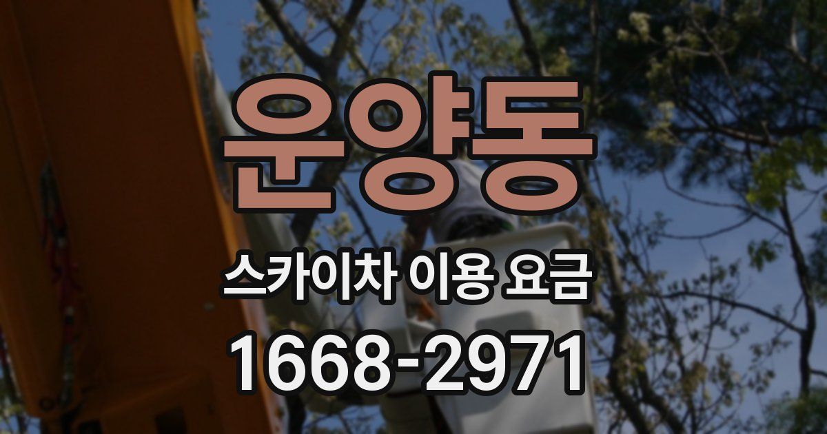 운양동 스카이차 이용 요금