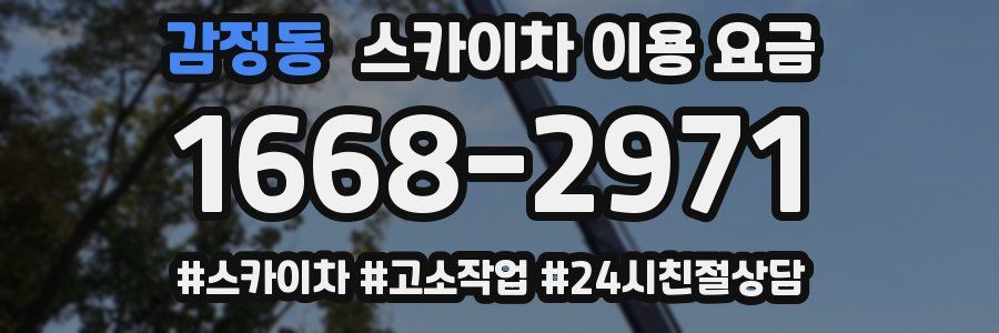 감정동 스카이차 이용 요금