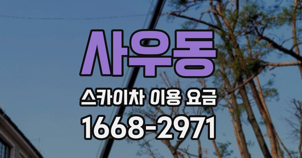 사우동 스카이차 이용 요금