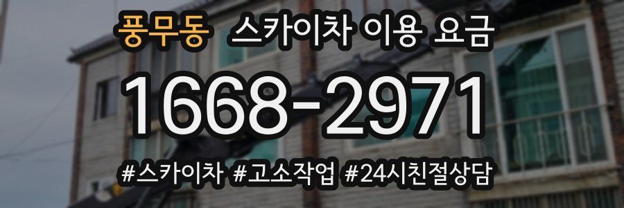 풍무동 스카이차 이용 요금