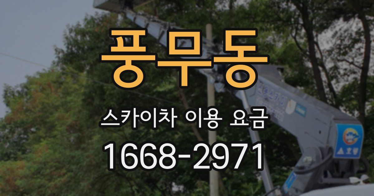 풍무동 스카이차 이용 요금