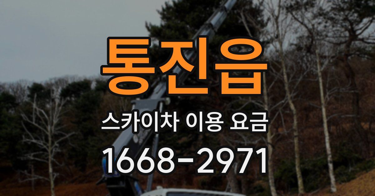 통진읍 스카이차 이용 요금