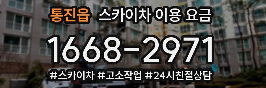 통진읍 스카이차 이용 요금