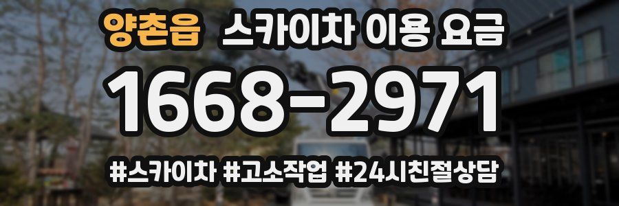 양촌읍 스카이차 이용 요금