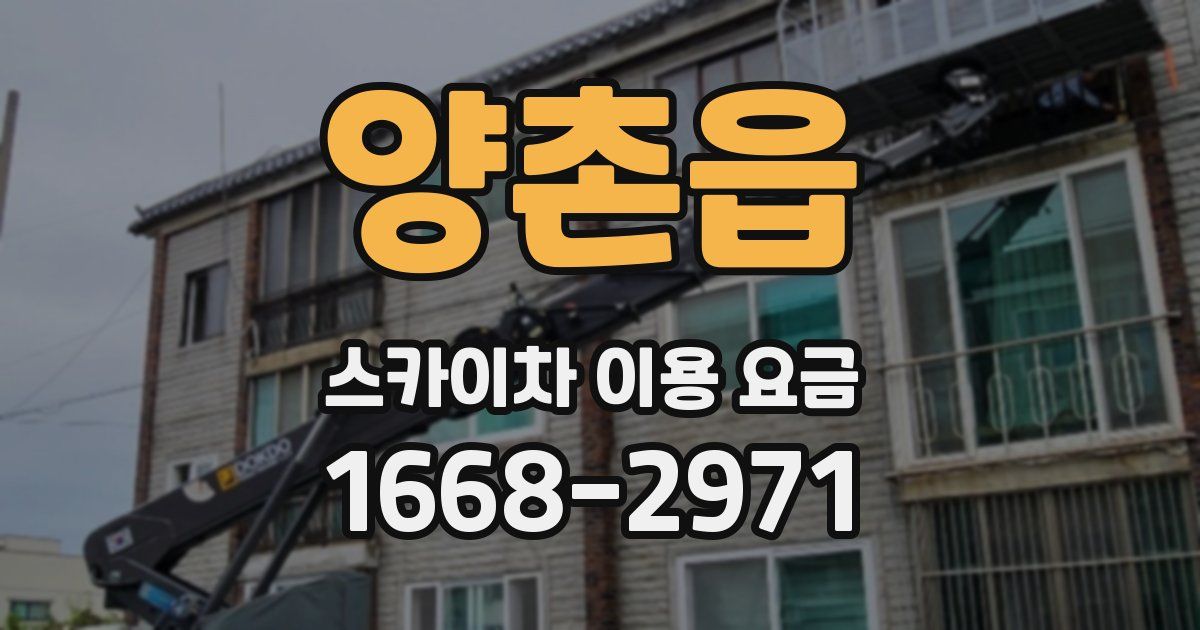 양촌읍 스카이차 이용 요금