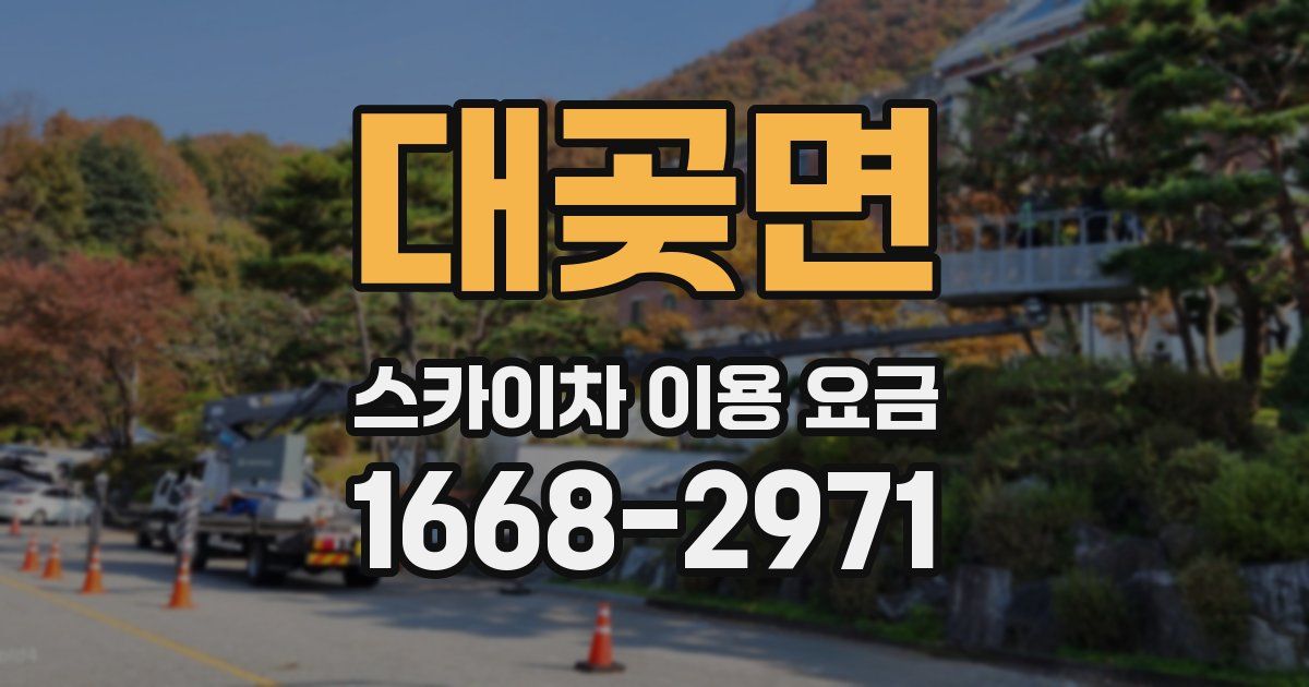 대곶면 스카이차 이용 요금