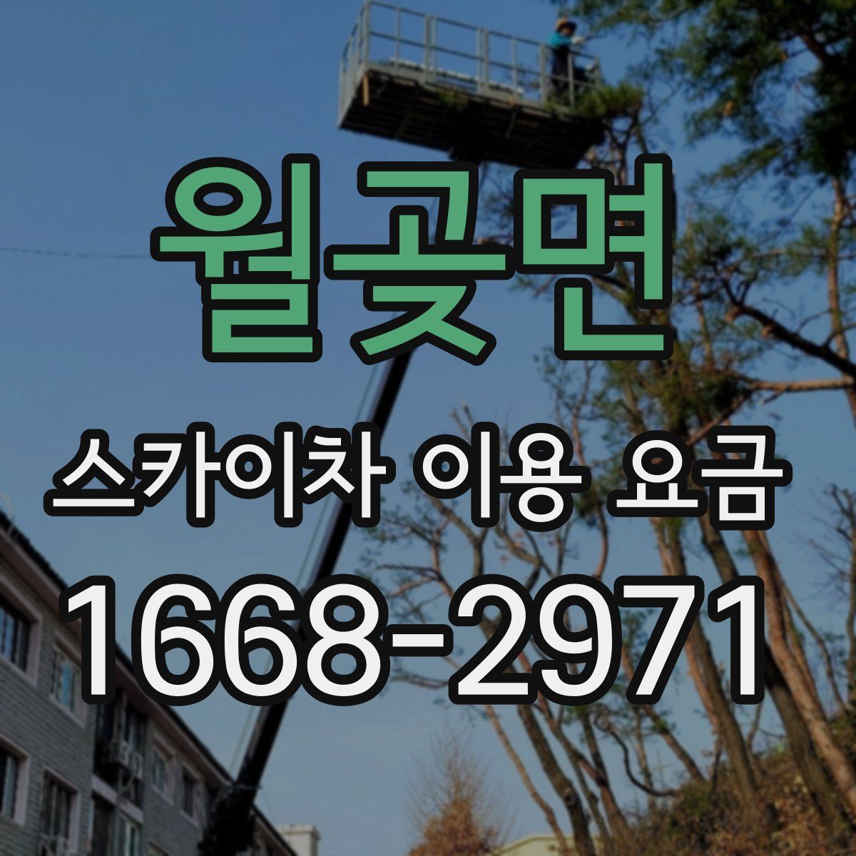 월곶면 스카이차 이용 요금
