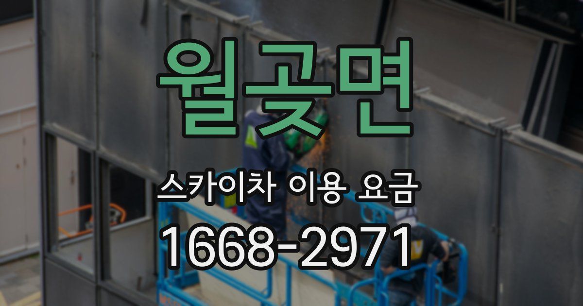 월곶면 스카이차 이용 요금