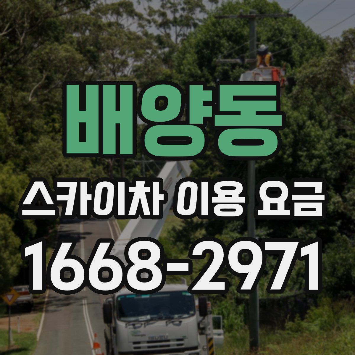 배양동 스카이차 이용 요금