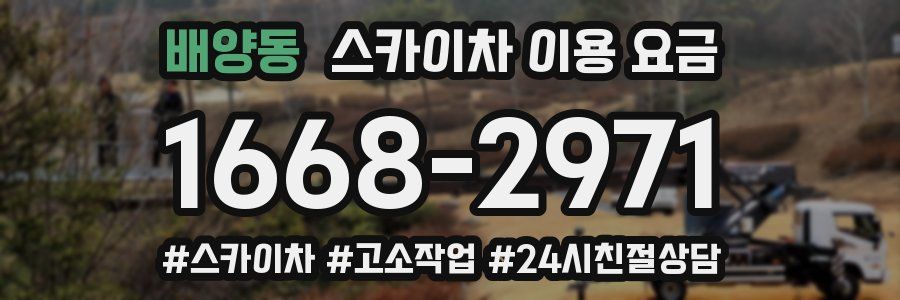 배양동 스카이차 이용 요금