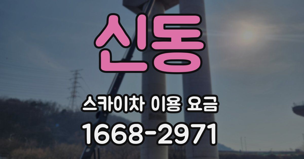 신동 스카이차 이용 요금
