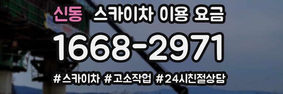신동 스카이차 이용 요금