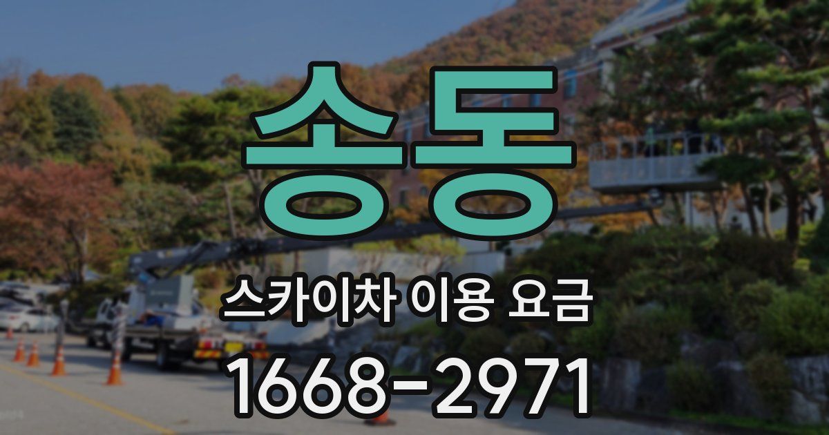 송동 스카이차 이용 요금