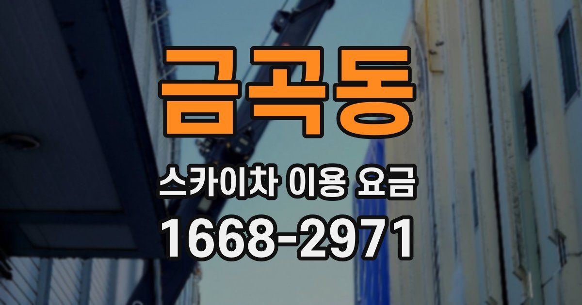 금곡동 스카이차 이용 요금