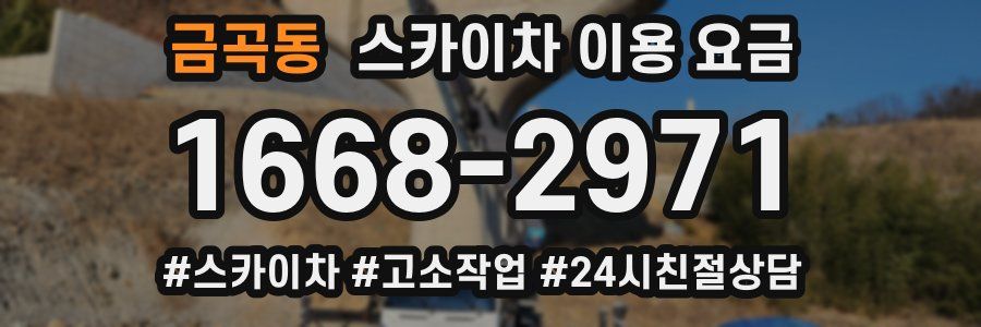 금곡동 스카이차 이용 요금