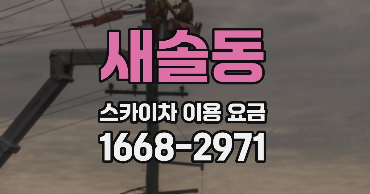새솔동 스카이차 이용 요금