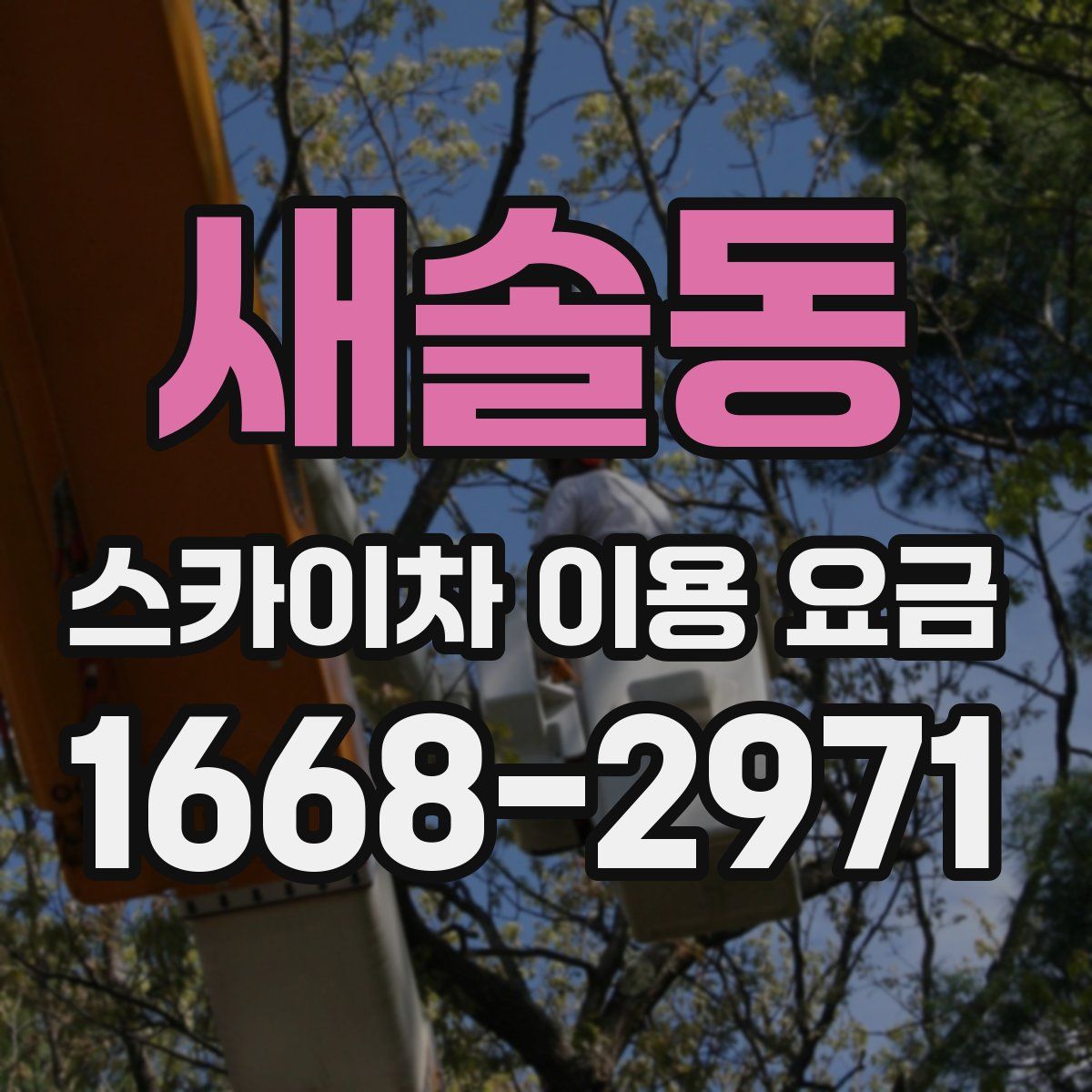 새솔동 스카이차 이용 요금