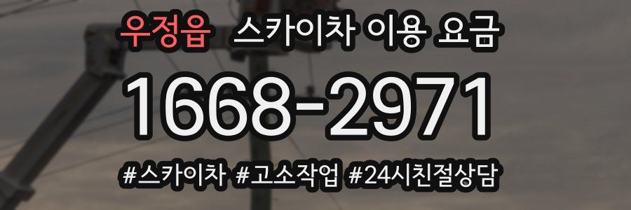 우정읍 스카이차 이용 요금