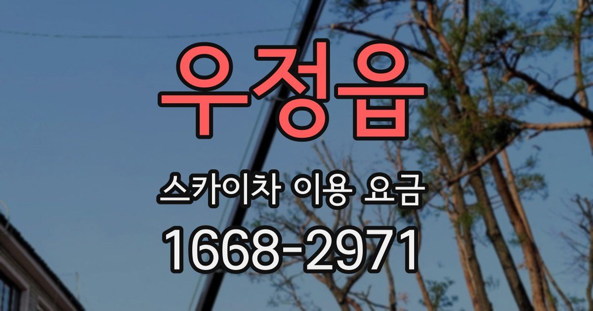 우정읍 스카이차 이용 요금