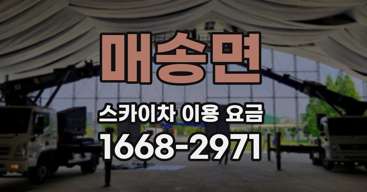 매송면 스카이차 이용 요금