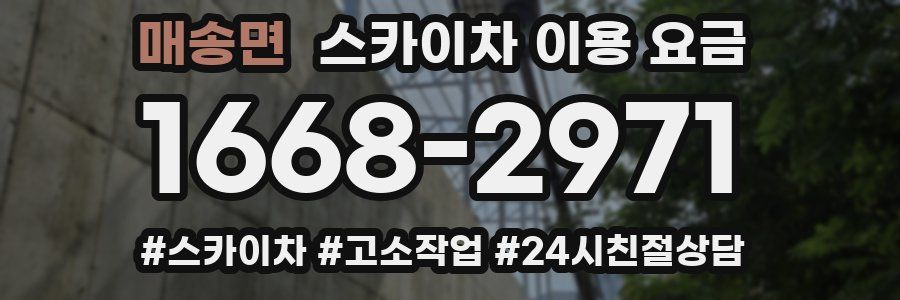 매송면 스카이차 이용 요금