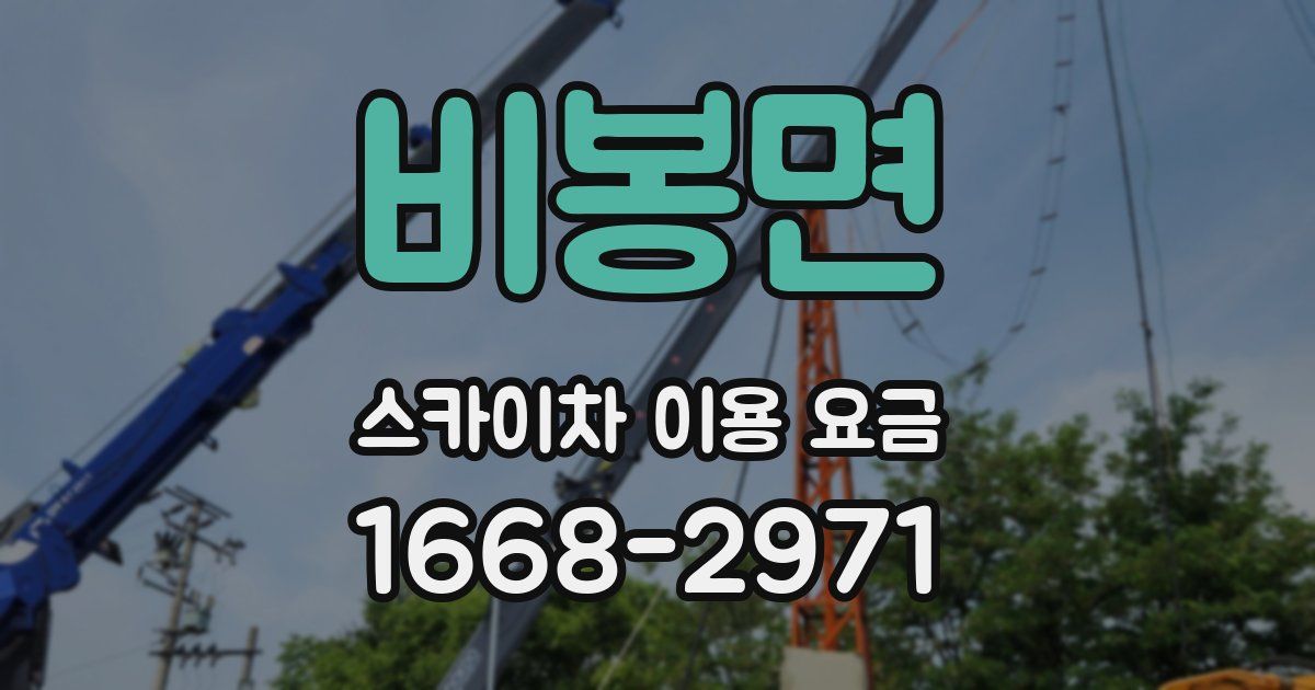 비봉면 스카이차 이용 요금