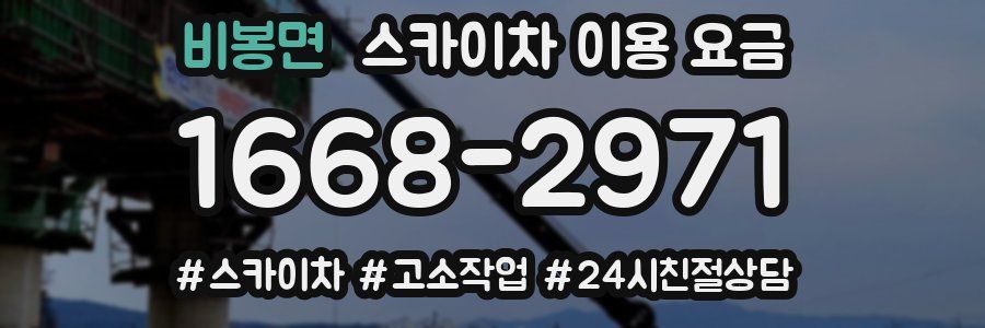 비봉면 스카이차 이용 요금