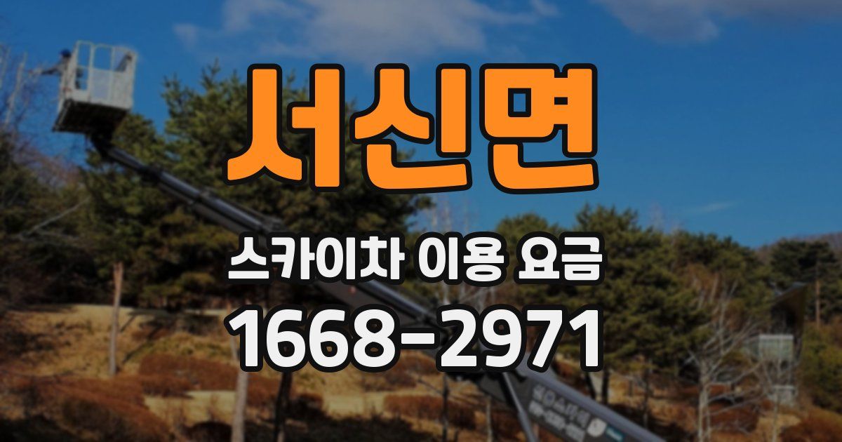 서신면 스카이차 이용 요금
