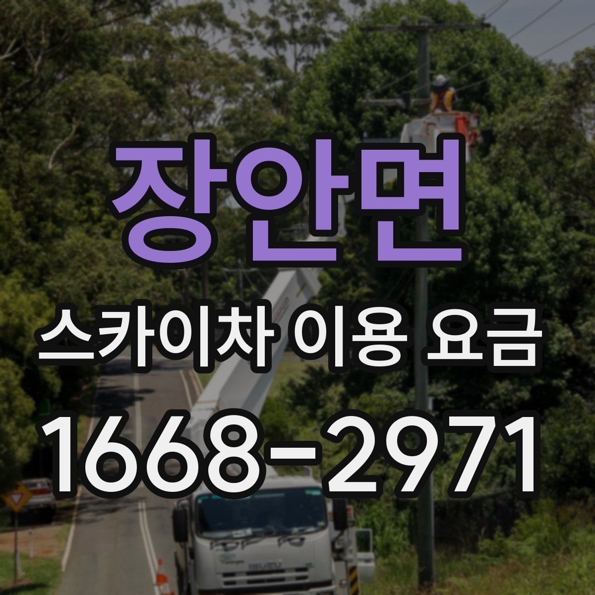 장안면 스카이차 이용 요금 안내에서 자주 보는 용어