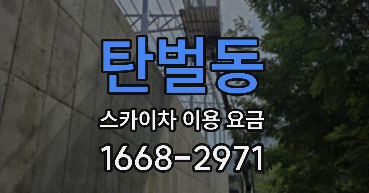 탄벌동 스카이차 이용 요금