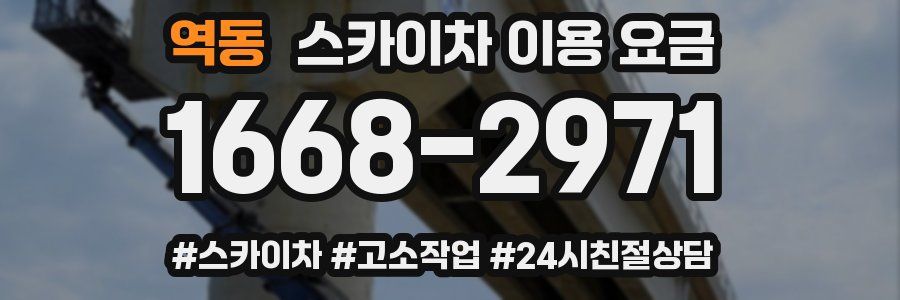 역동 스카이차 이용 요금