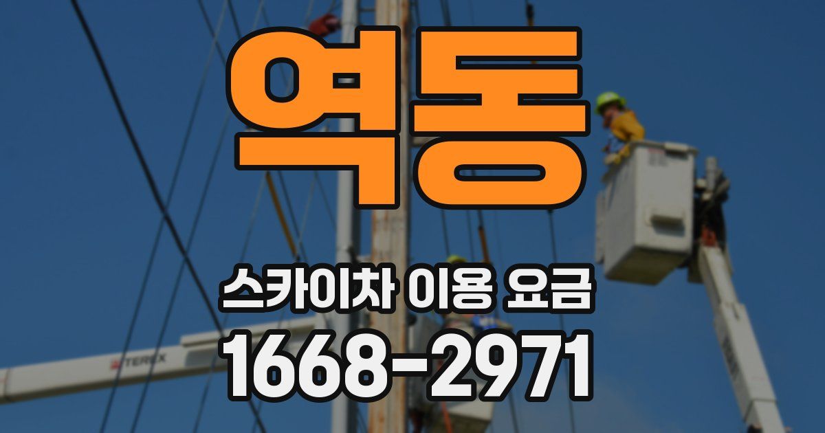 역동 스카이차 이용 요금