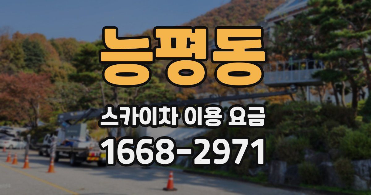능평동 스카이차 이용 요금