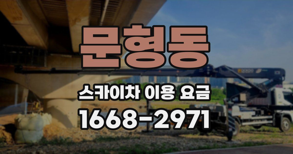 문형동 스카이차 이용 요금