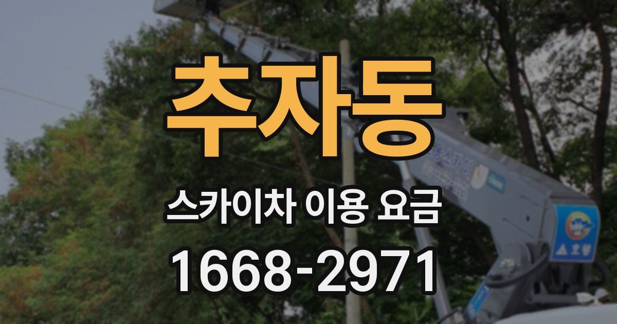 추자동 스카이차 이용 요금