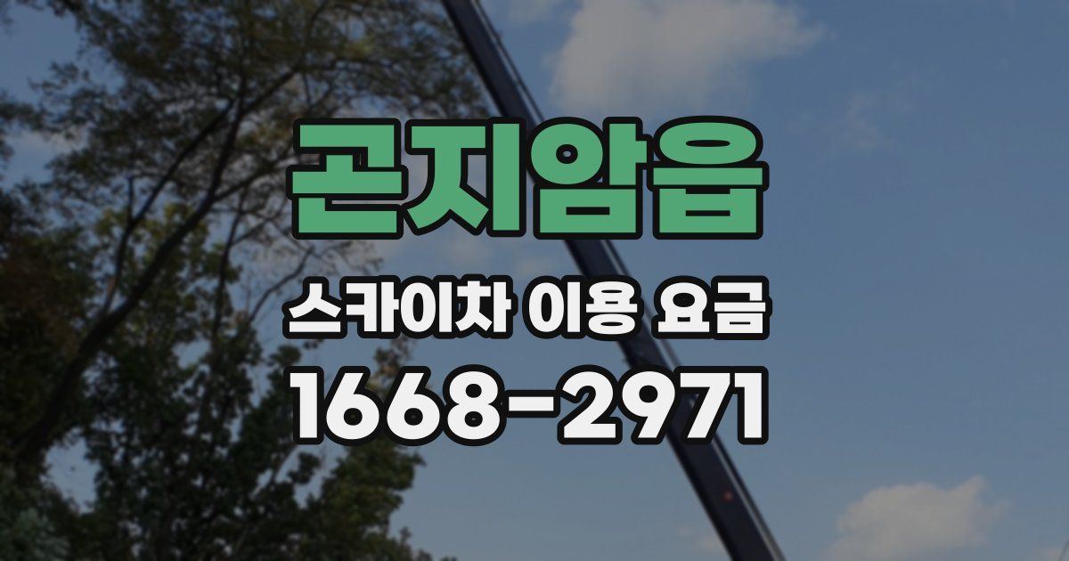 곤지암읍 스카이차 이용 요금