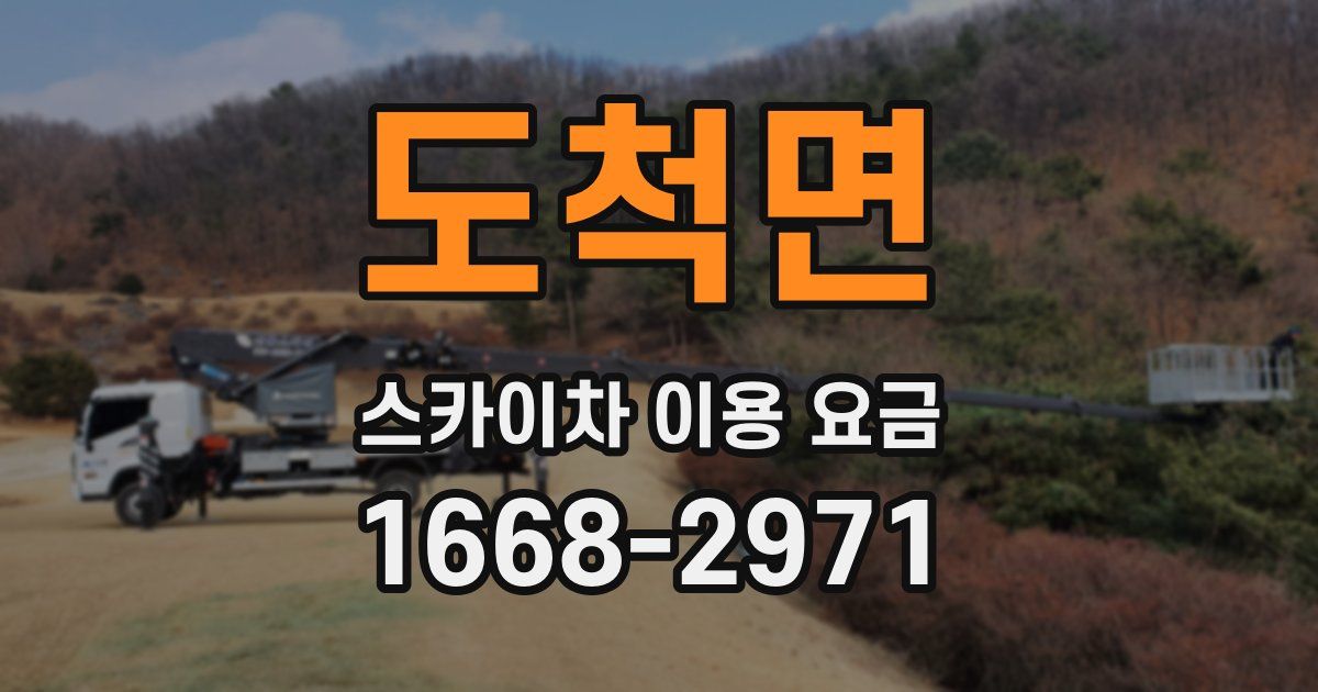 도척면 스카이차 이용 요금