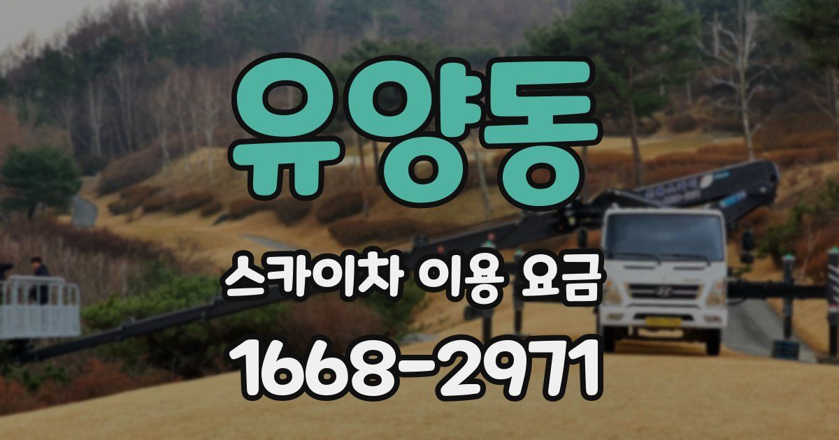 유양동 스카이차 이용 요금