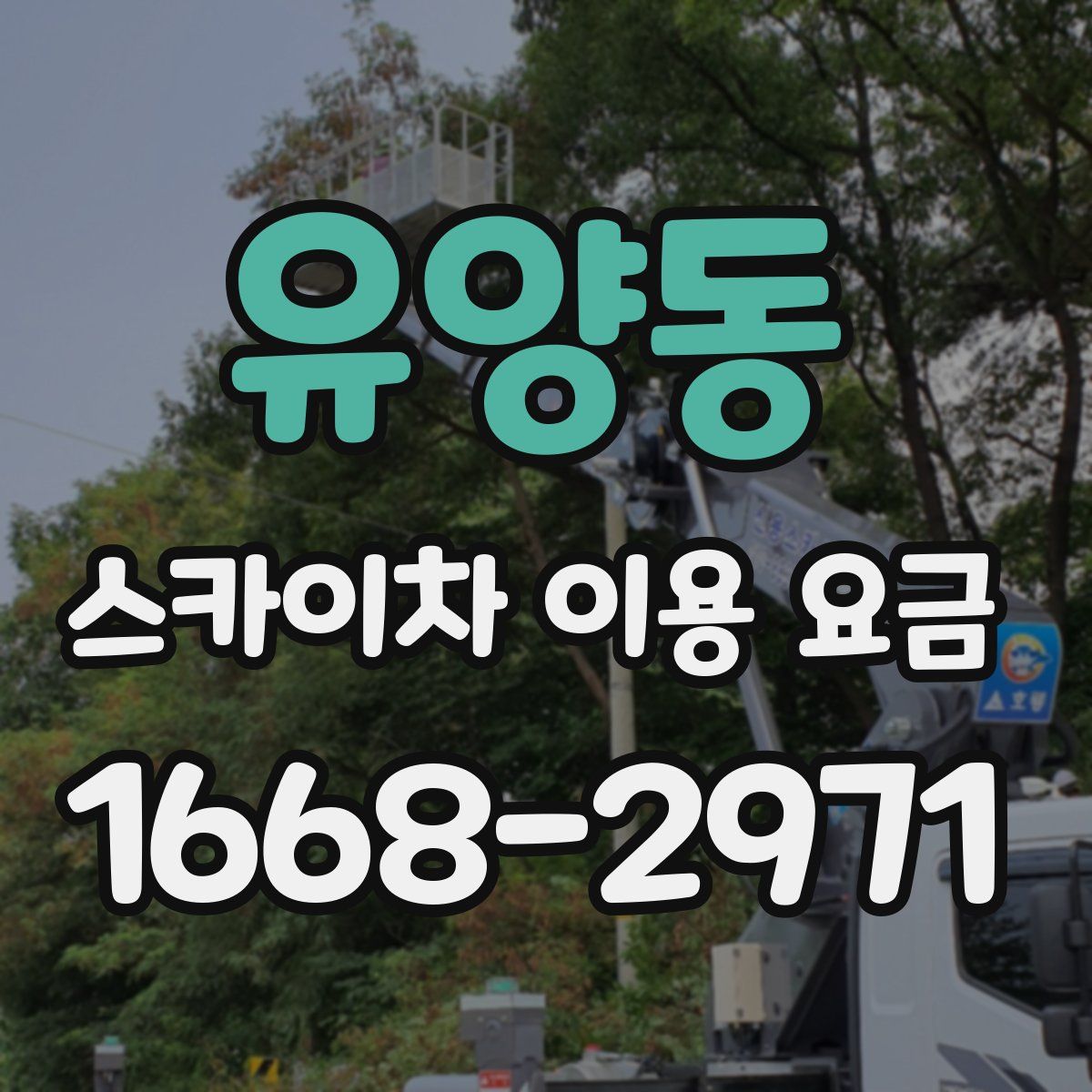 유양동 스카이차 이용 요금