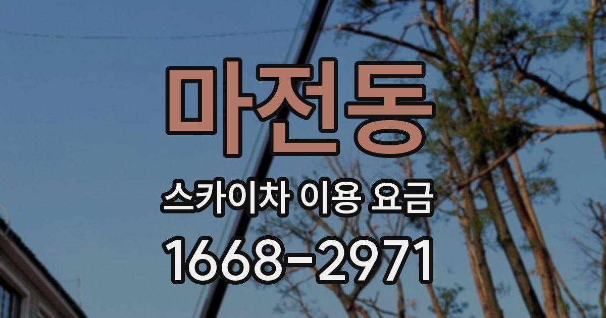 마전동 스카이차 이용 요금