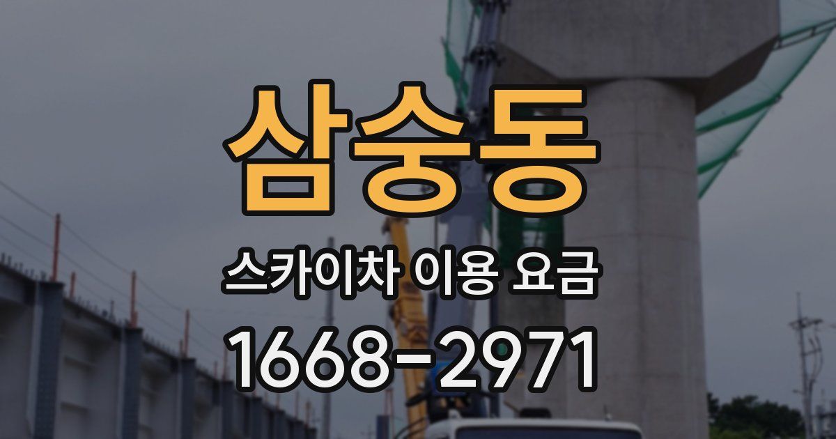 삼숭동 스카이차 이용 요금