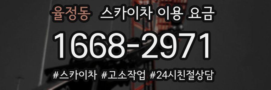 율정동 스카이차 이용 요금