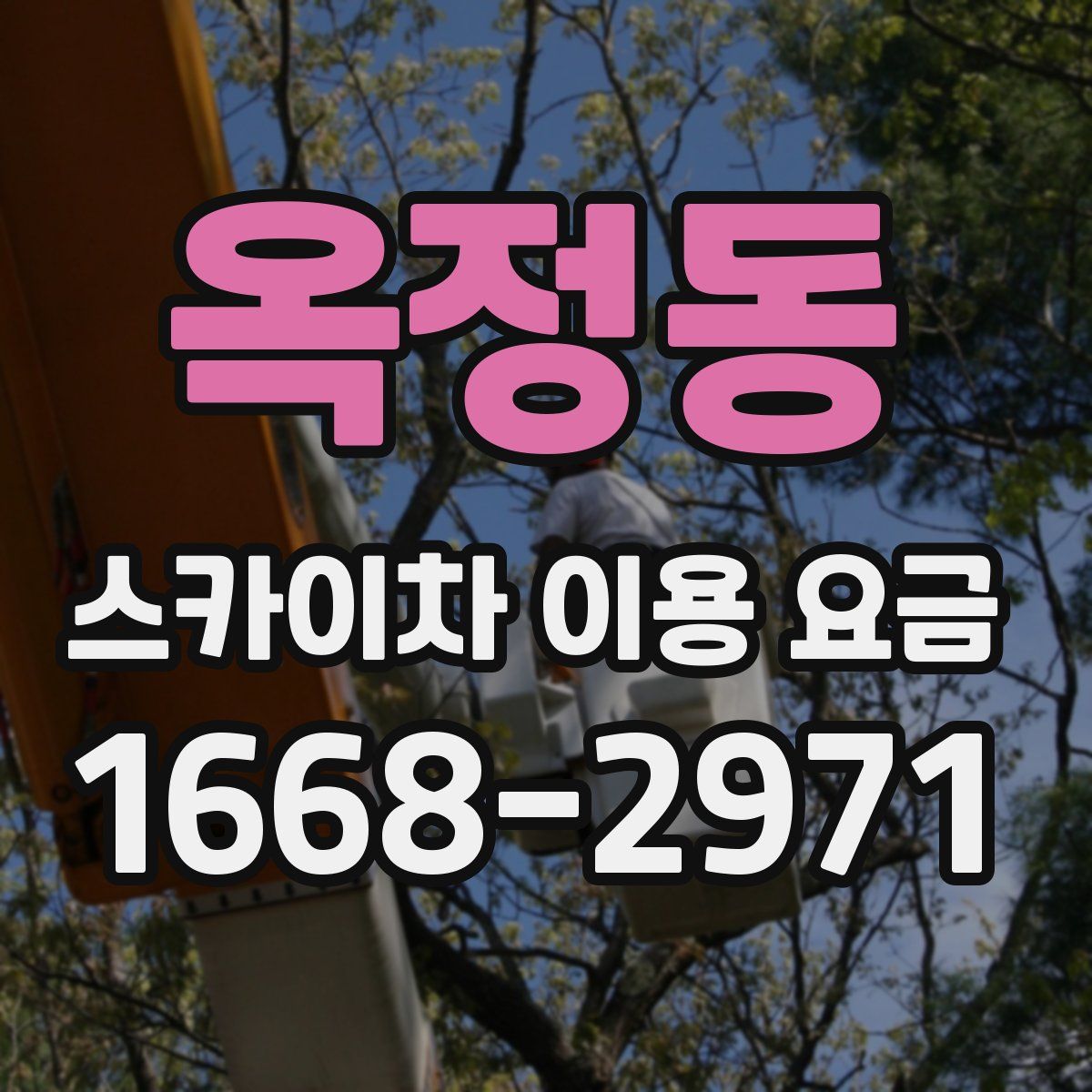 옥정동 스카이차 이용 요금