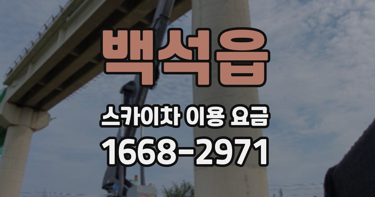 백석읍 스카이차 이용 요금