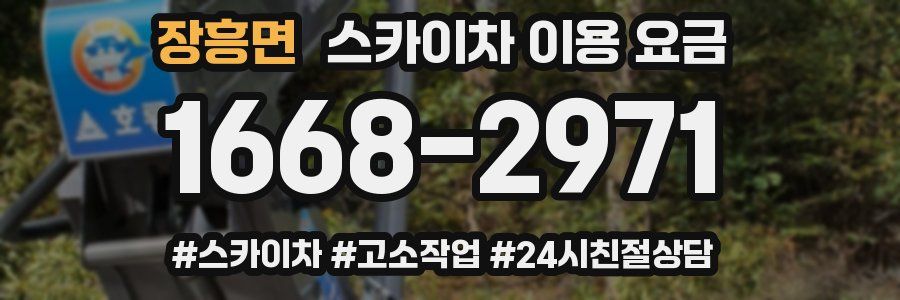 장흥면 스카이차 이용 요금