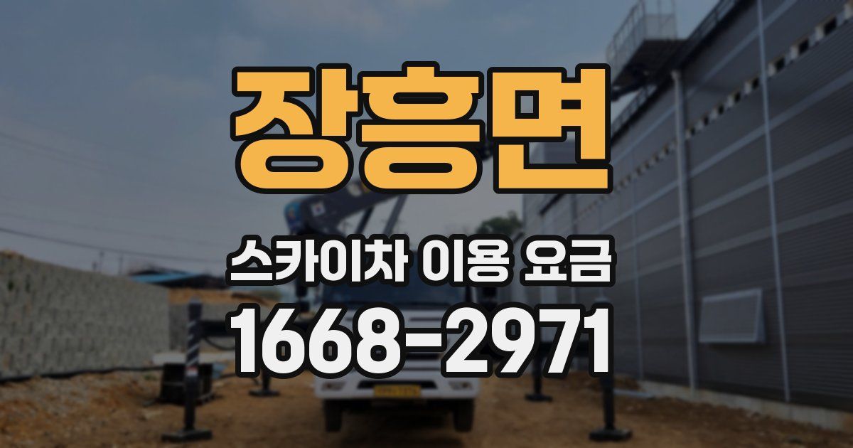장흥면 스카이차 이용 요금
