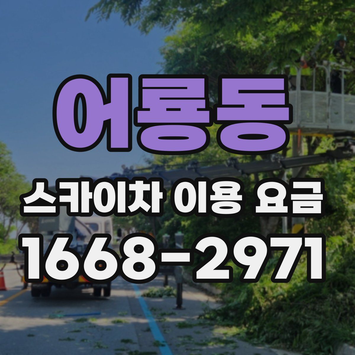 어룡동 스카이차 이용 요금