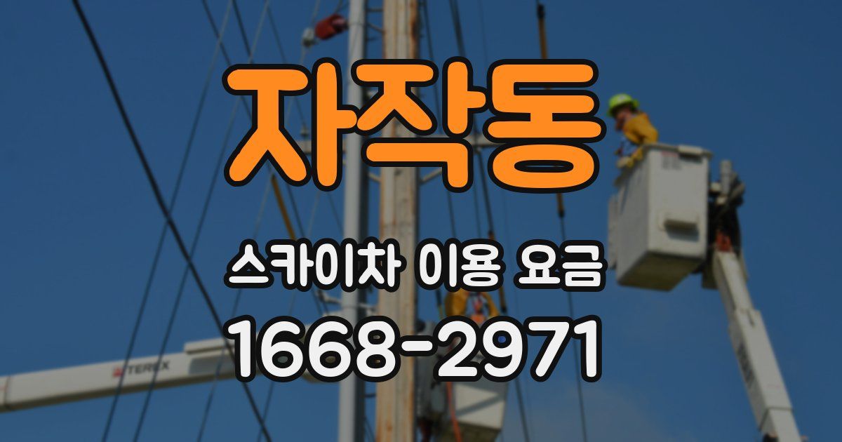 자작동 스카이차 이용 요금