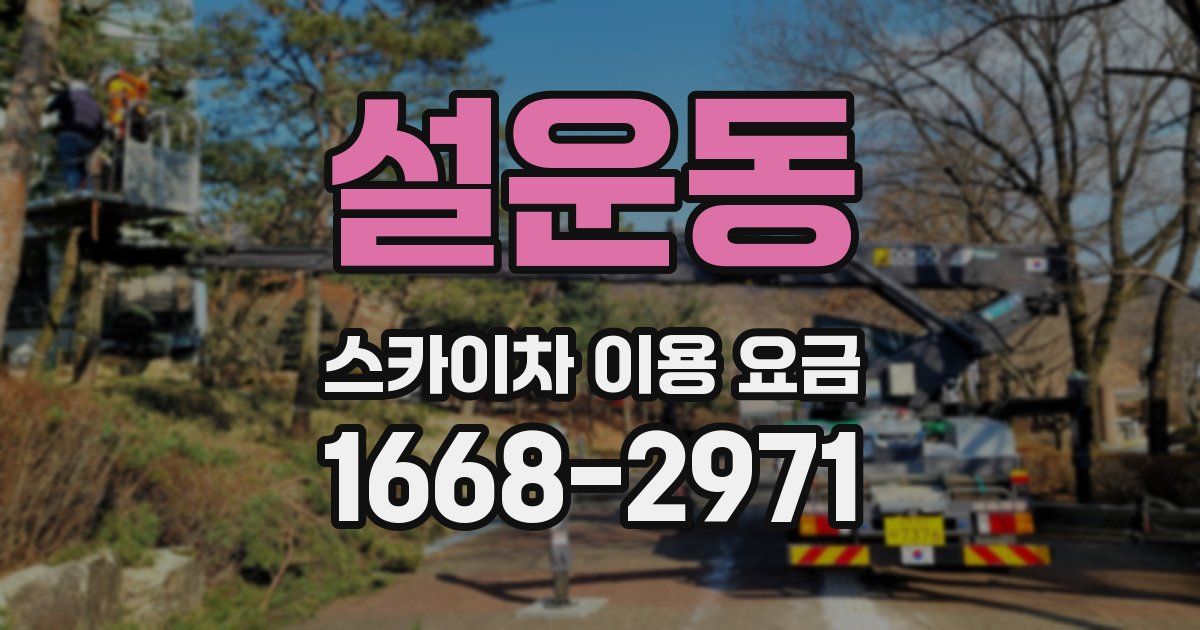 설운동 스카이차 이용 요금